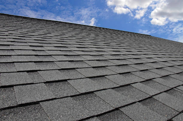 Best Roof Maintenance and Cleaning  in Worthington, OH